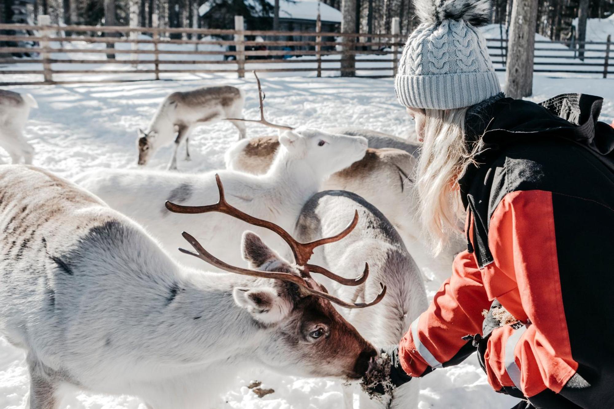 Lapland Hotels Hetta Enontekiö Εξωτερικό φωτογραφία